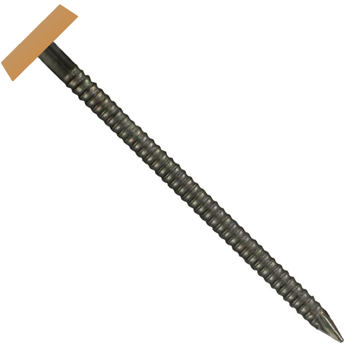 Cherry Oak 65mm Plastic Headed Nails (100 | Bright Nails)