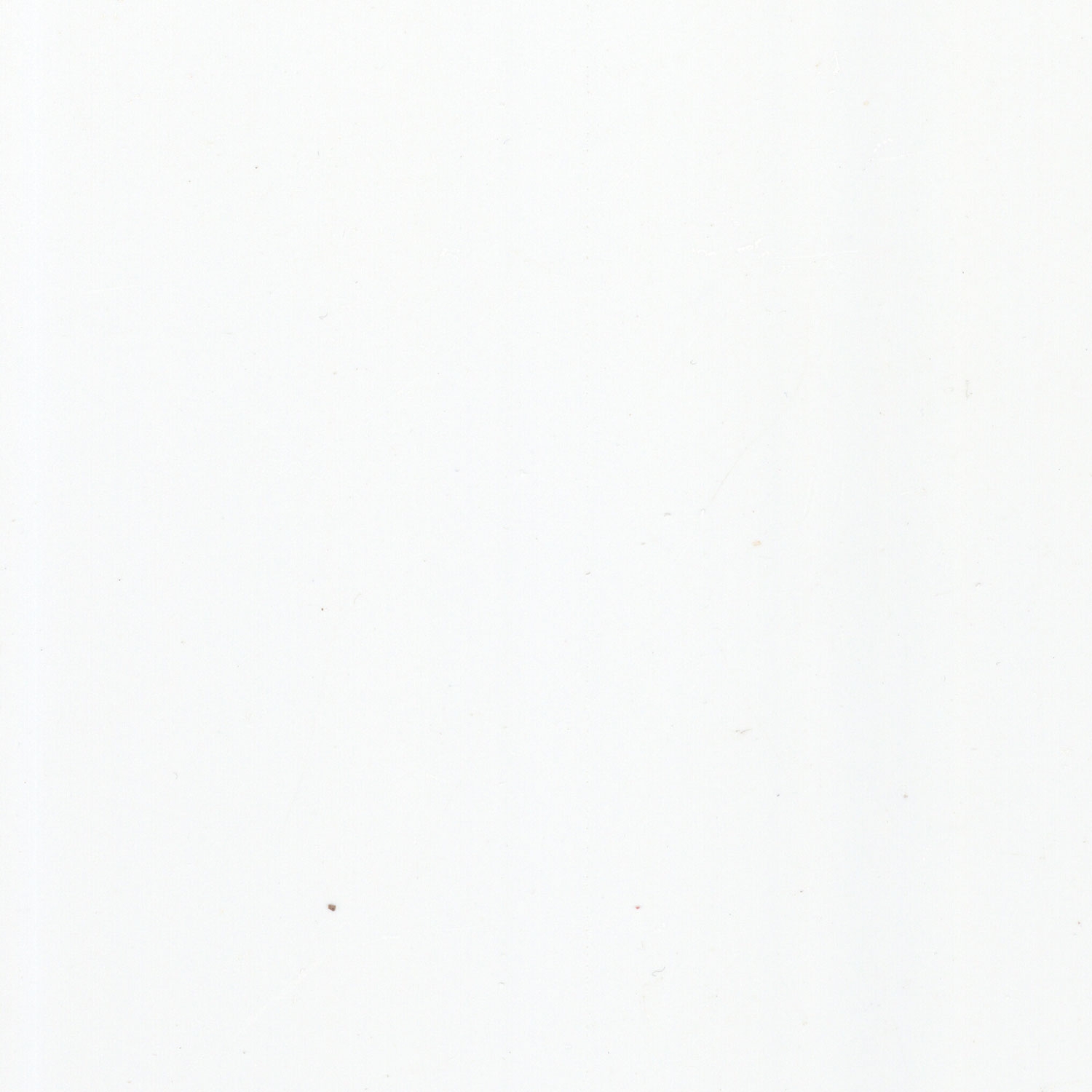 Gloss White 10mm Shower Panels 1m (W) x 2.4m (H) | Pack of: 1 | Zest Wall Panels